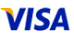 VISA Credit Card 